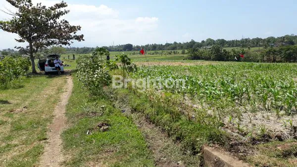 image TANAH 31 ARE DI TANGGUNTITI, SELEMADEG, TABANAN ,BALI (1)