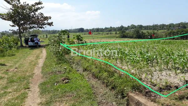 image TANAH 31 ARE DI TANGGUNTITI, SELEMADEG, TABANAN ,BALI (2)