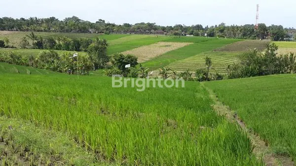 image TANAH 31 ARE DI TANGGUNTITI, SELEMADEG, TABANAN ,BALI (3)