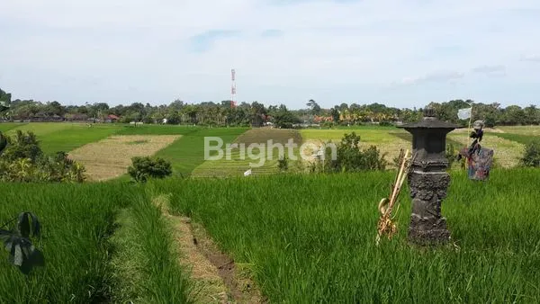 image TANAH 31 ARE DI TANGGUNTITI, SELEMADEG, TABANAN ,BALI (4)