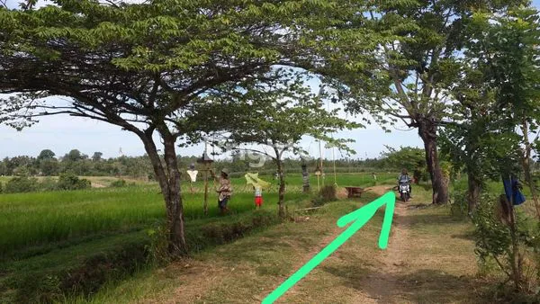 image TANAH 31 ARE DI TANGGUNTITI, SELEMADEG, TABANAN ,BALI (5)