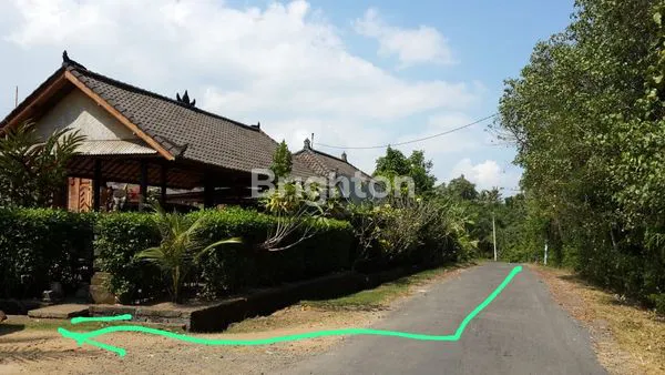 image TANAH 31 ARE DI TANGGUNTITI, SELEMADEG, TABANAN ,BALI (6)