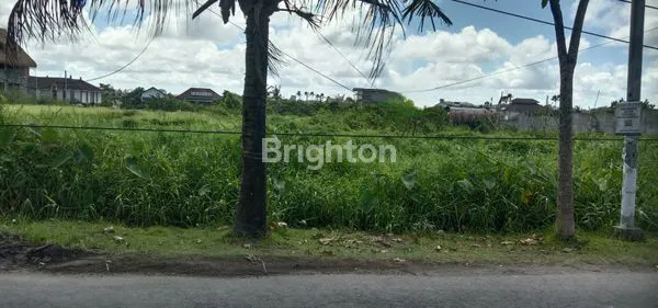 image TANAH DI PERERENAN ZONA PINK (2)