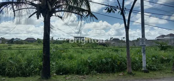 image TANAH DI PERERENAN ZONA PINK (1)