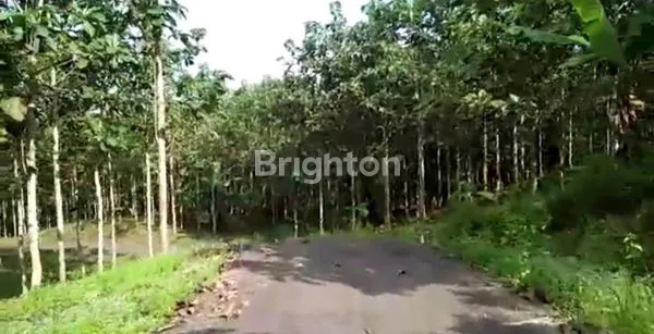 image BELI TANAH LANGSUNG CUAN. SAGARANTEN SUKABUMI (6)