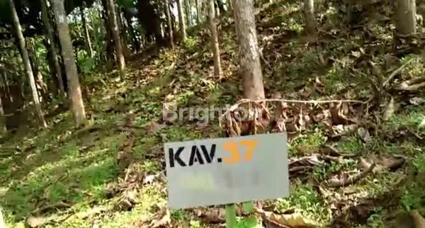 image BELI TANAH LANGSUNG CUAN. SAGARANTEN SUKABUMI (2)