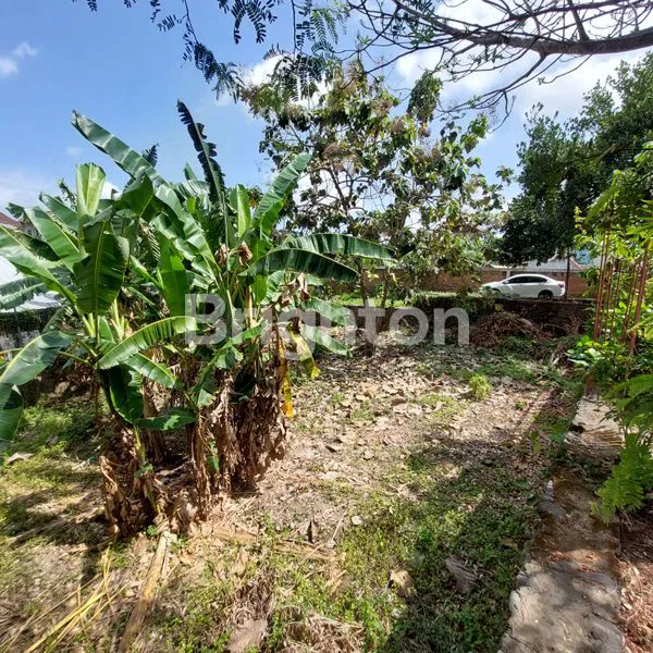 image TANAH BONUS BANGUNAN DI AREA STRATEGIS DEKAT CANGGU (5)