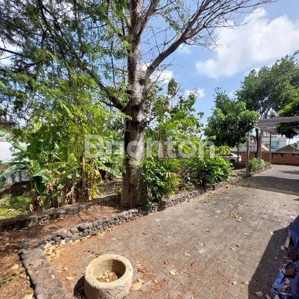 image TANAH BONUS BANGUNAN DI AREA STRATEGIS DEKAT CANGGU (8)