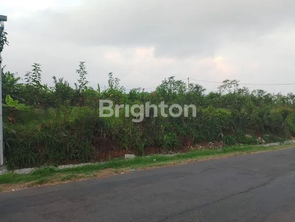 image TANAH DI KALISONGO, DAU (2)