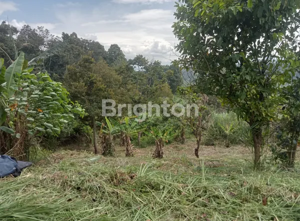 image TANAH DI JONGGOL BOGOR JAWA BARAT (3)