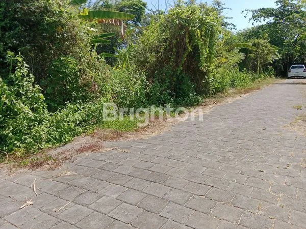 image TANAH KAVLING UNTUK VILLA DEKAT PANTAI KETEWEL (1)