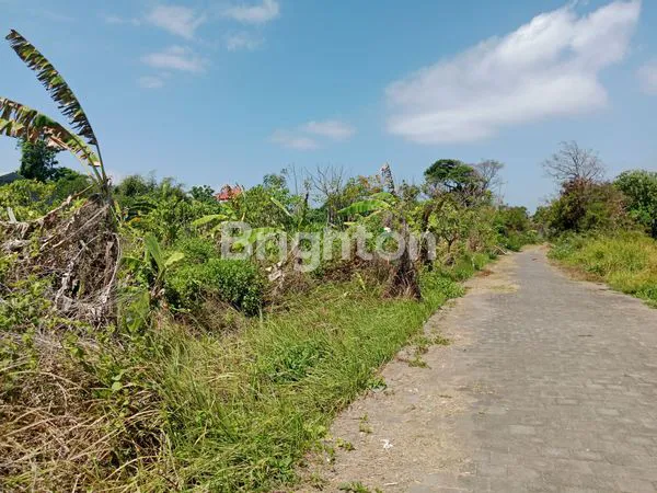 image TANAH KAVLING UNTUK VILLA DEKAT PANTAI KETEWEL (5)
