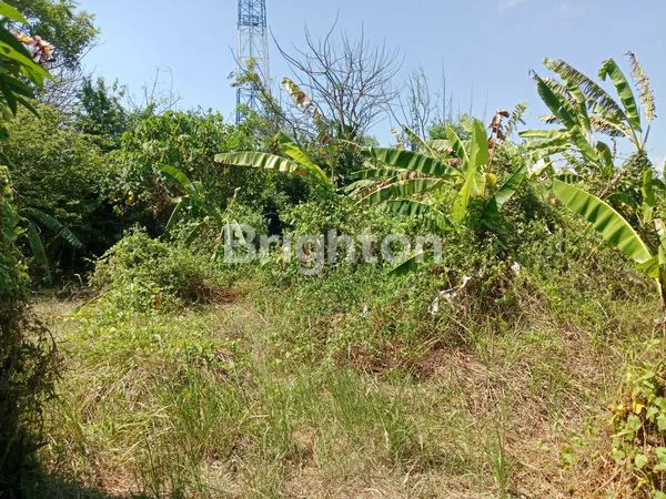 image TANAH KAVLING UNTUK VILLA DEKAT PANTAI KETEWEL (2)