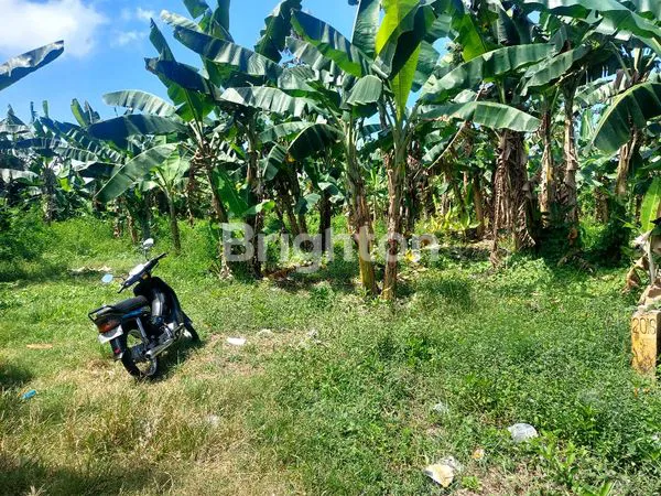 image DIJUAL TANAH LOKASI JALAN UTAMA ANTOSARI PEKUTATAN (3)