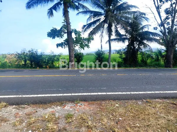 image DIJUAL TANAH LOKASI JALAN UTAMA ANTOSARI PEKUTATAN (4)