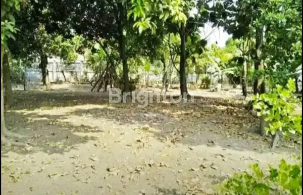 image DIJUAL CEPAT TANAH KRIAN  (2)