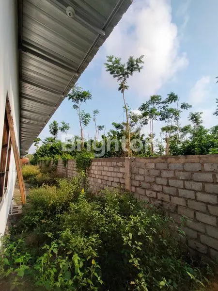 image RUMAH MAHAMERU  (5)