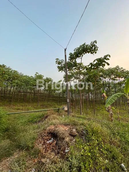 Gambar Property TANAH LOKASI STRATEGIS KAWASAN KOMPLEK VANDA GARDENIA TRAWAS