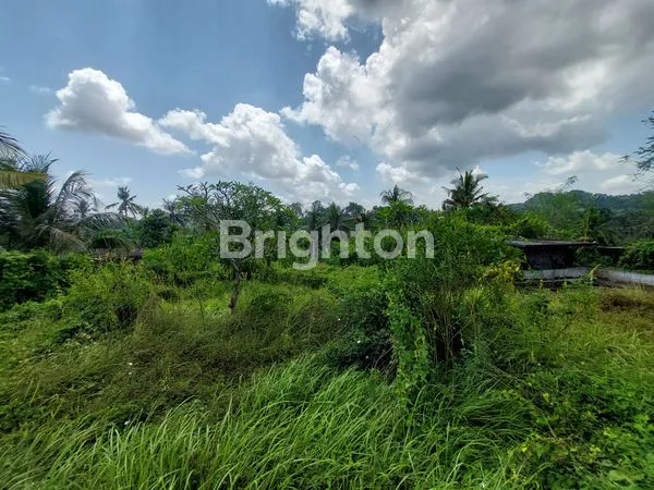 image TANAH LUAS DI PINGGIR JALAN SELANGKAH KE PUSAT KOTA GIANYAR  (1)