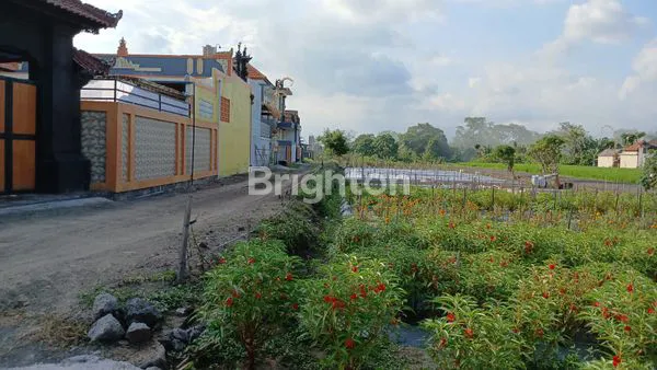 image RUMAH RASA VILLA +POOL VIEW SAWAH KAWASAN PERUMAHAN ELITE NYITDAH (4)