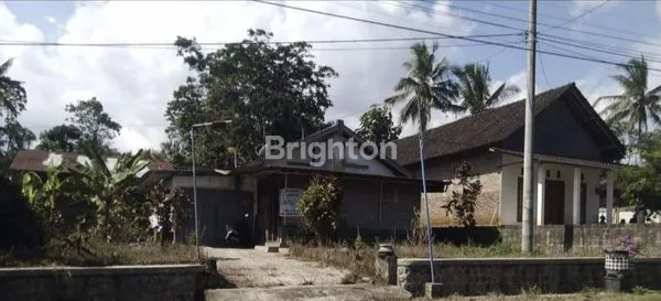 DIJUAL RUMAH DAN TANAH  DAERAH PULUNG  HARGA  800 JUTA GOTIK