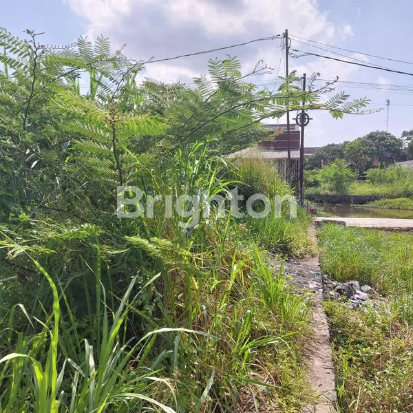 image TANAH PREMIUM 247M² SHM DI CIPADUNG KIDUL - LOKASI STRATEGIS (4)