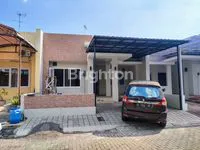 IMG 20241010 1419302