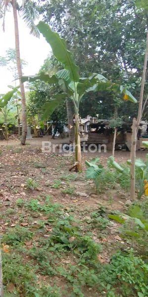 image SEGERA JUAL TANAH BEACH FRONT MENINTING (2)