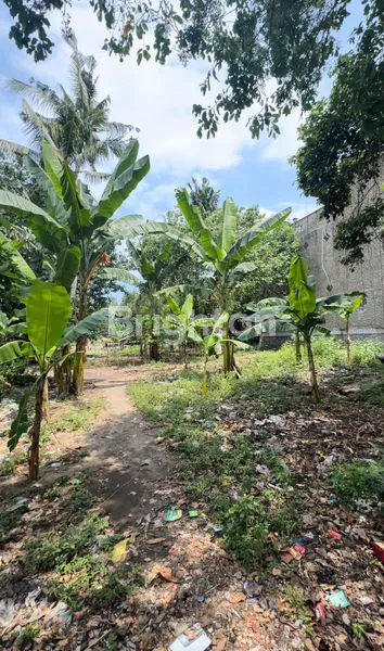 image SEGERA JUAL TANAH BEACH FRONT MENINTING (3)