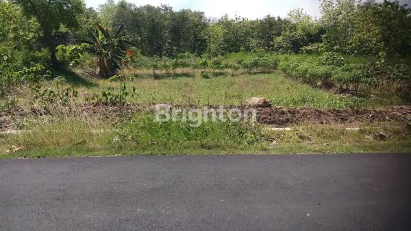 TANAH SIAP BANGUN PERUMAHAN DAN GUDANG