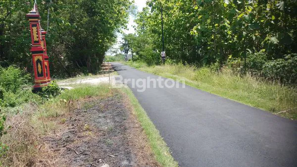 image TANAH SIAP BANGUN PERUMAHAN DAN GUDANG (3)