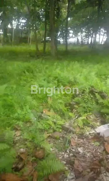 image DIJUAL LAHAN LUAS DI DEKAT PANTAI DI BALIKPAPAN TIMUR (1)