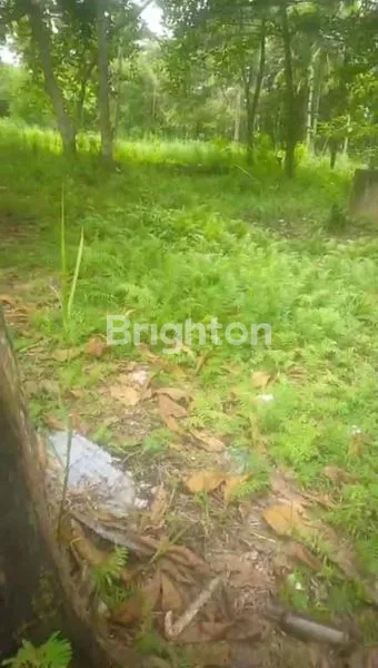 image DIJUAL LAHAN LUAS DI DEKAT PANTAI DI BALIKPAPAN TIMUR (4)