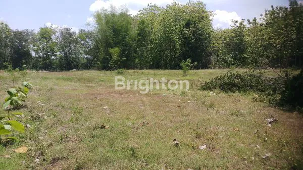 image TANAH SUPER SUPER MURAH (2)