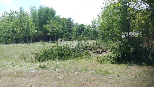 image TANAH SUPER SUPER MURAH (4)