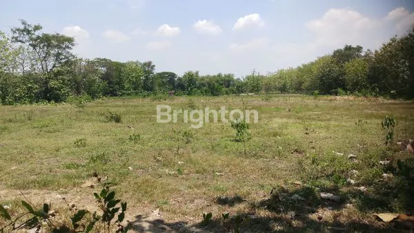 TANAH SUPER SUPER MURAH