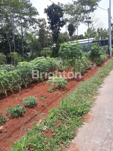 image TANAH KOSONG / TEGALAN 768M2 PINGGIR JALAN RAYA ASPAL HOTMIX (2)