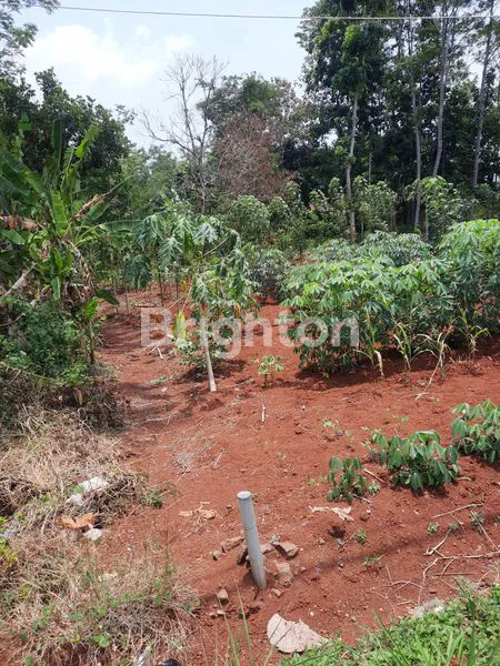 image TANAH KOSONG / TEGALAN 768M2 PINGGIR JALAN RAYA ASPAL HOTMIX (3)