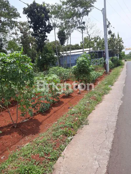 image TANAH KOSONG / TEGALAN 768M2 PINGGIR JALAN RAYA ASPAL HOTMIX (4)