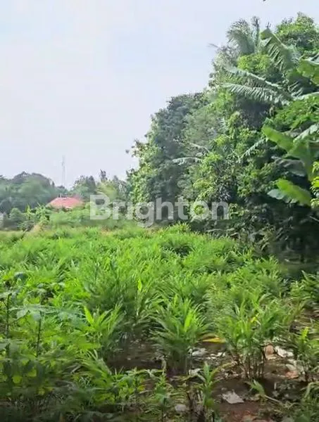 image TANAH KAVLING DI JATISARI CILEUNGSI, BOGOR (7)