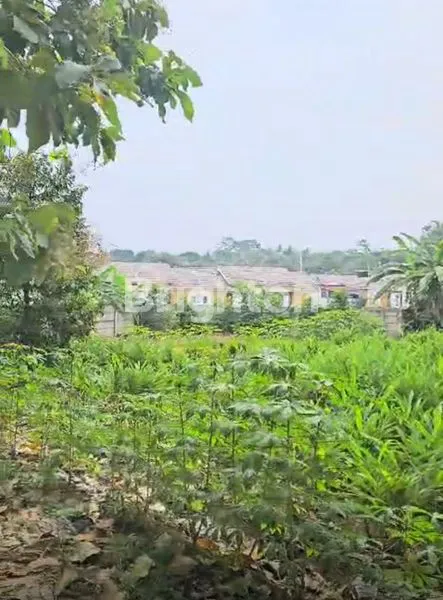 image TANAH KAVLING DI JATISARI CILEUNGSI, BOGOR (2)