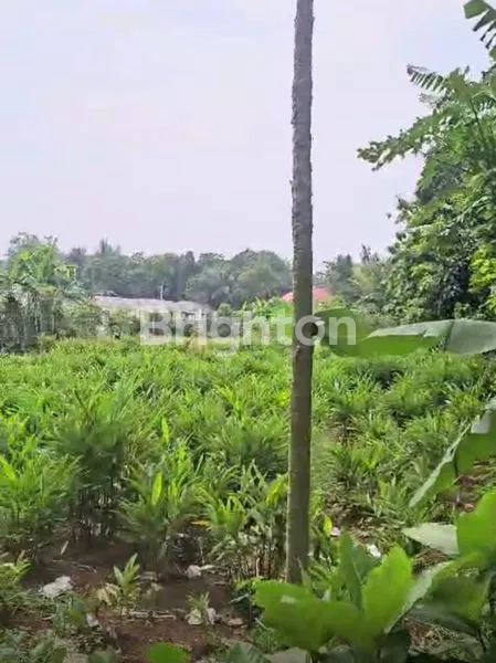 image TANAH KAVLING DI JATISARI CILEUNGSI, BOGOR (3)