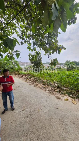 image TANAH KAVLING DI JATISARI CILEUNGSI, BOGOR (8)