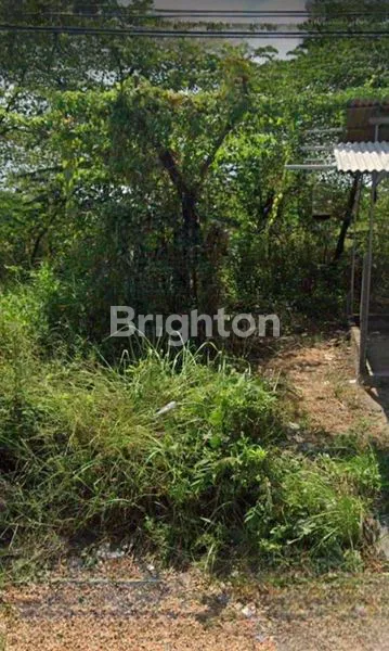 TANAH DI RAYA BATU PUALAM KOTABARU GRESIK