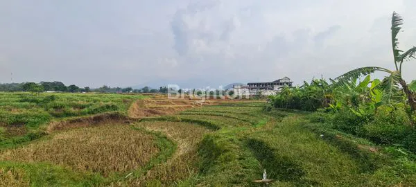 image TANAH DI DAERAH POLAMAN MIJEN SEMARANG (1)