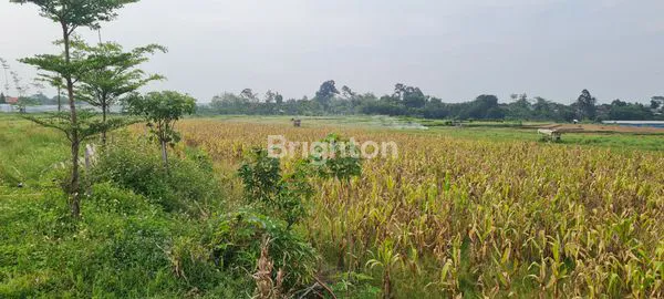 image TANAH DI DAERAH POLAMAN MIJEN SEMARANG (2)