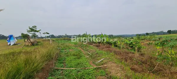 image TANAH DI DAERAH POLAMAN MIJEN SEMARANG (3)