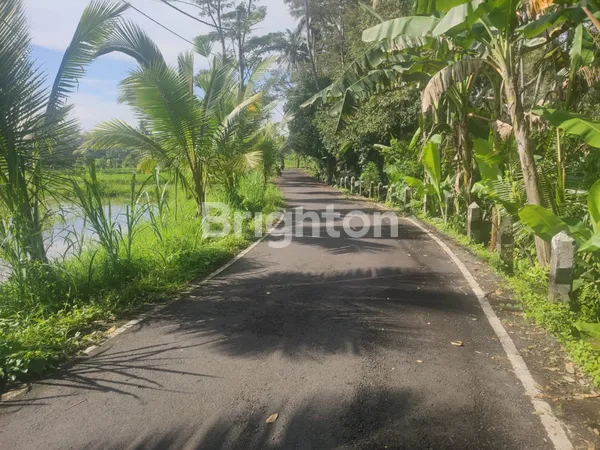 image MURAHHH... TANAH LOKASI STRATEGIS 15 ARE DI ABIANSEMAL (1)