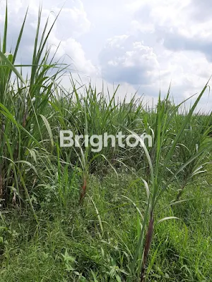 image TANAH DI DAWARBLANDONG (1)