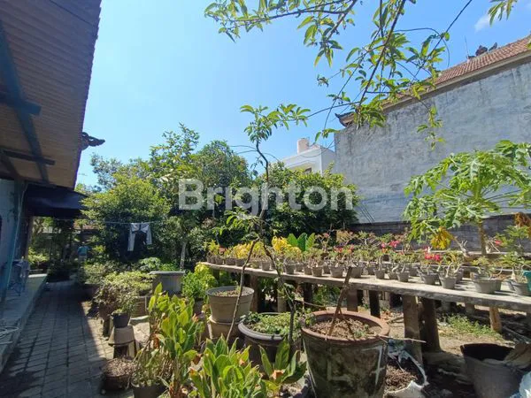 image RUKO DENGAN TANAH YANG LUAS TERLETAK DI PINGGIR JALAN (3)